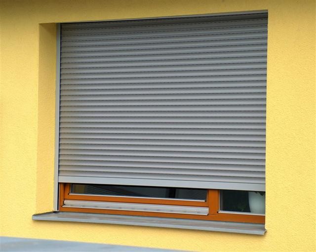 Shutter 31